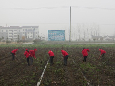 青春绿动建湖 微行播种美丽