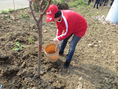 脱下西装领带，植树也“欢型”