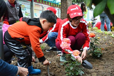 这个春天，一起种下五彩缤纷